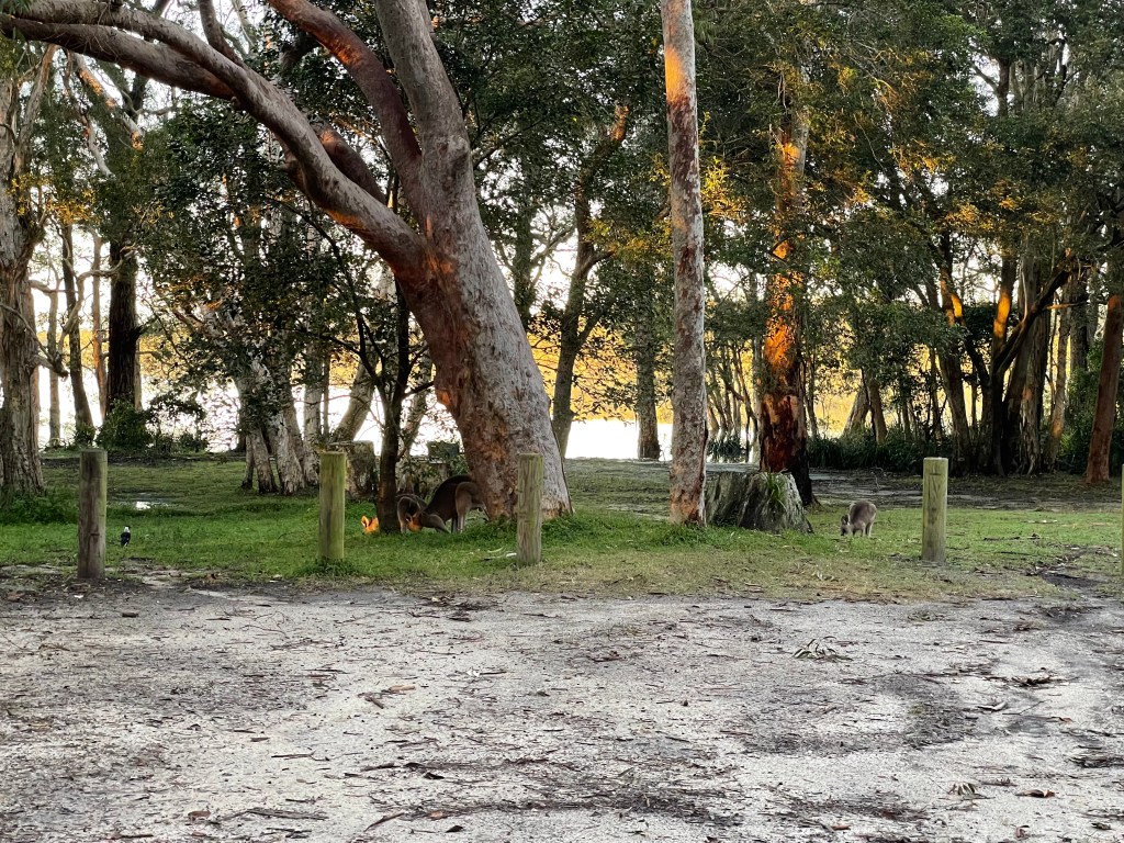 Day 2 – Making our way up the East&nbsp;Coast