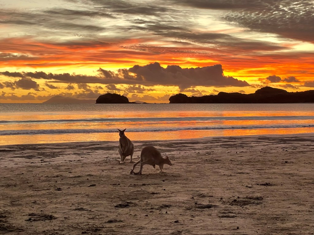 Day 19 – Cape&nbsp;Hillsborough