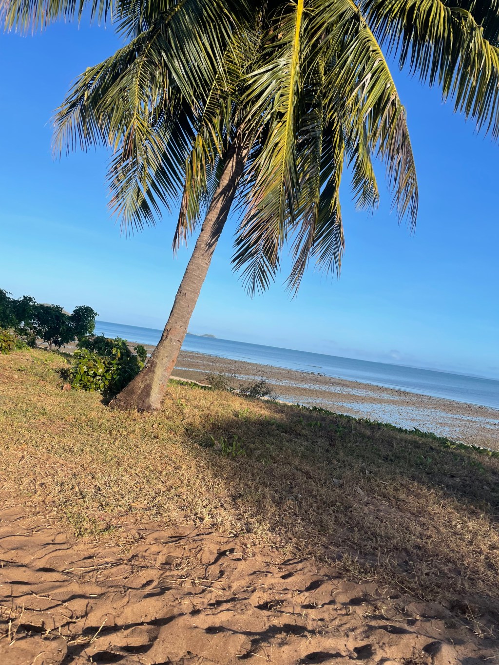 Day 39 – Loyalty&nbsp;Beach