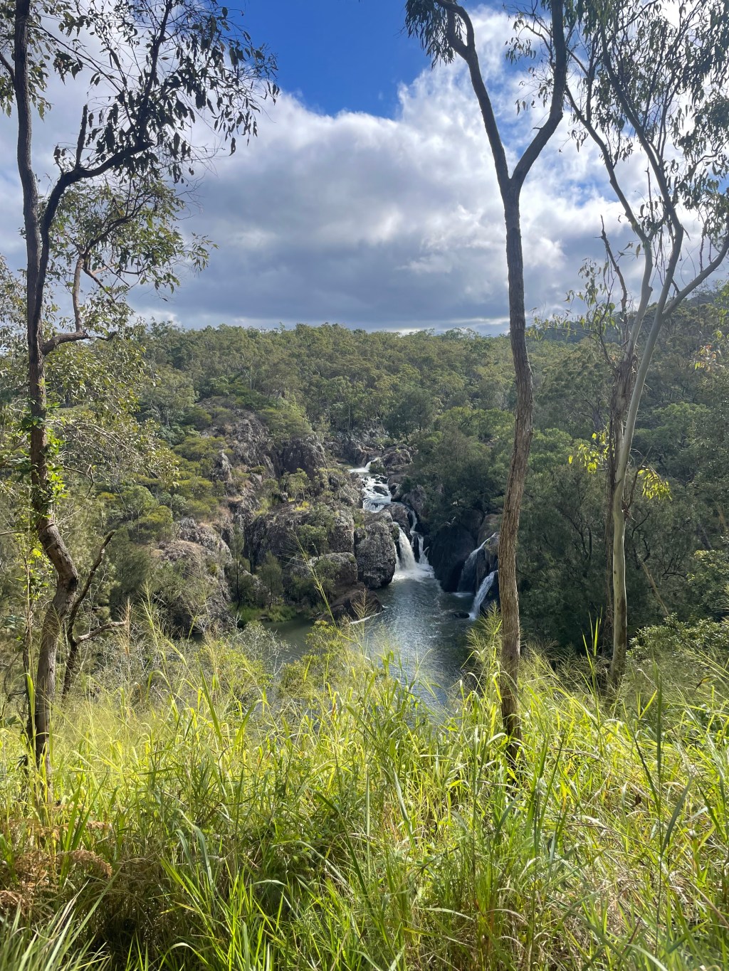 Day 46 – Savannah&nbsp;Way