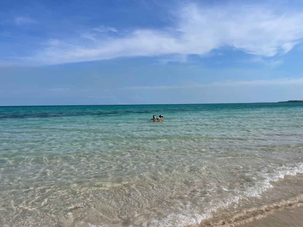 Day 113 –&nbsp;Ardyaloon