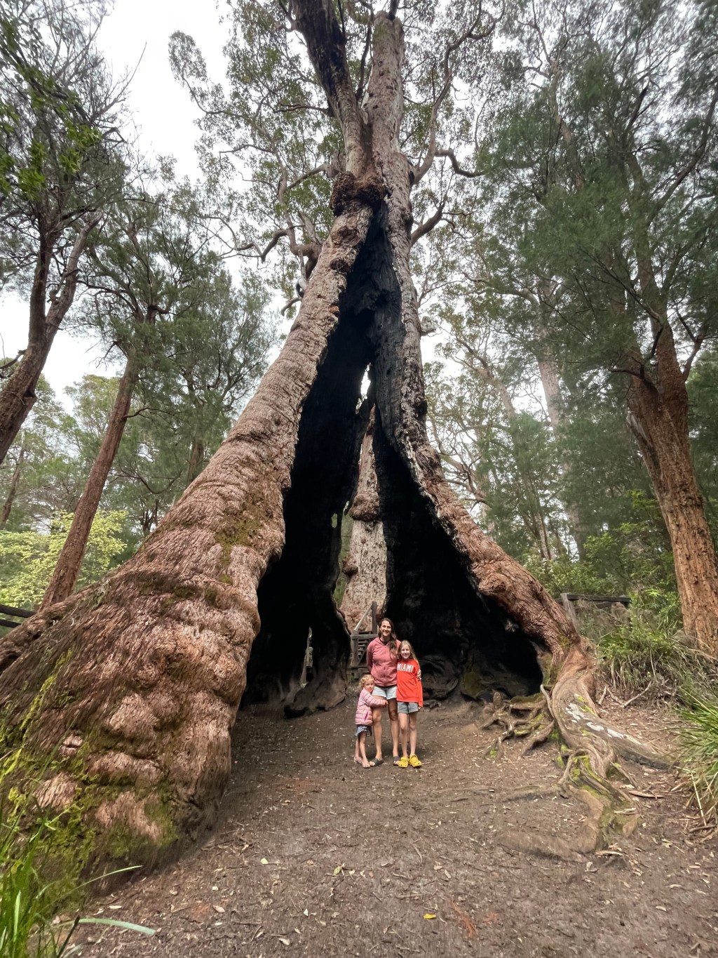 Day 160 –&nbsp;Manjimup